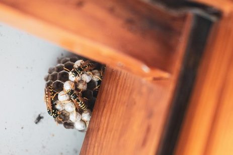 ante-hamersmit-Ru3IMko0KNg-unsplash