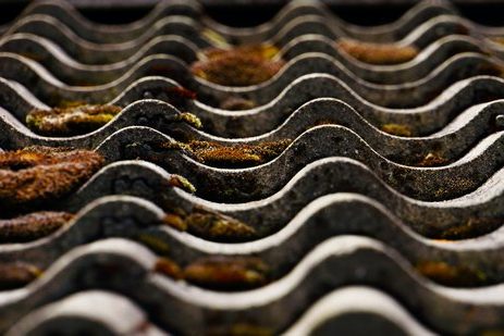 moss-on-roof